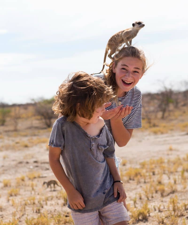 5-year-old-boy-with-meerkat-on-his-head