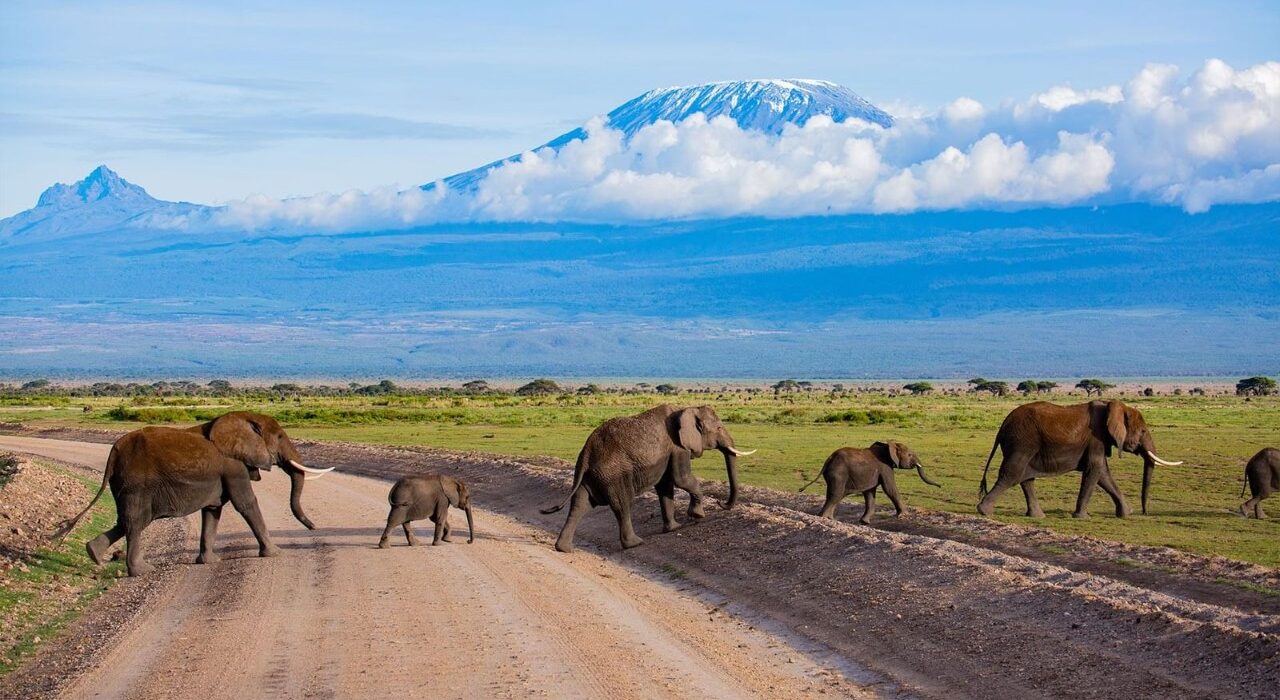 amboseli-serena-safari-lodge-2