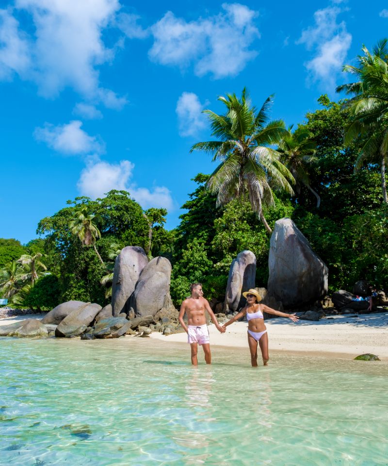 mahe-seychelles-tropical-beach-with-palm-trees