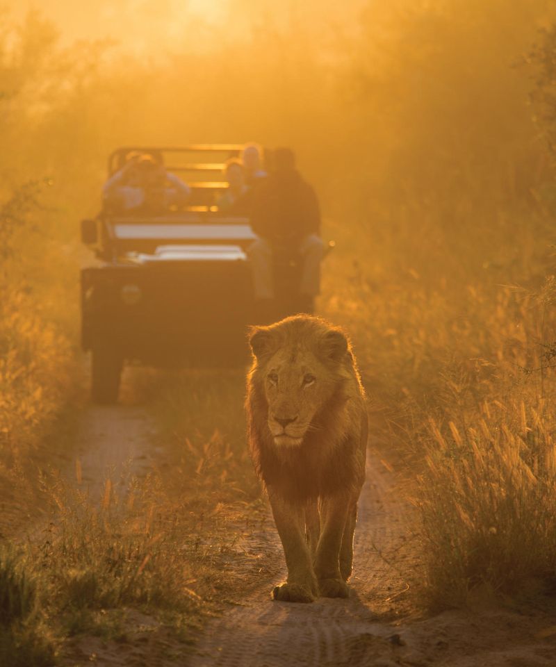 sabi sand nature reserve