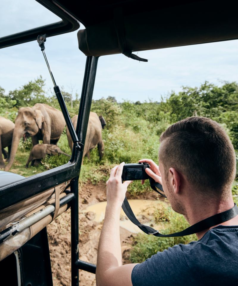 photographing-of-group-of-elephants-young-man-on-2023-11-27-05-05-12-utc (1)
