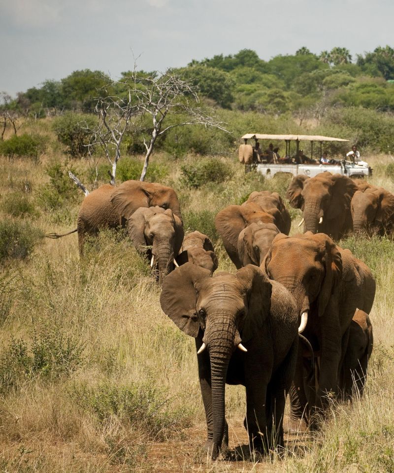 Morukuru Family Madikwe_3 (1)