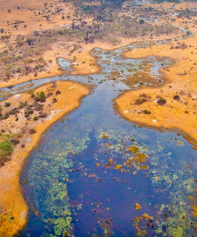 aerial-view-okavango-delta-botswana