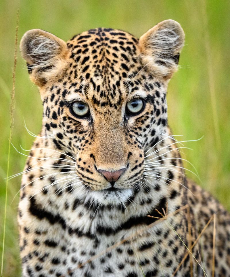 akagera-untamed-wildlife-sanctuary