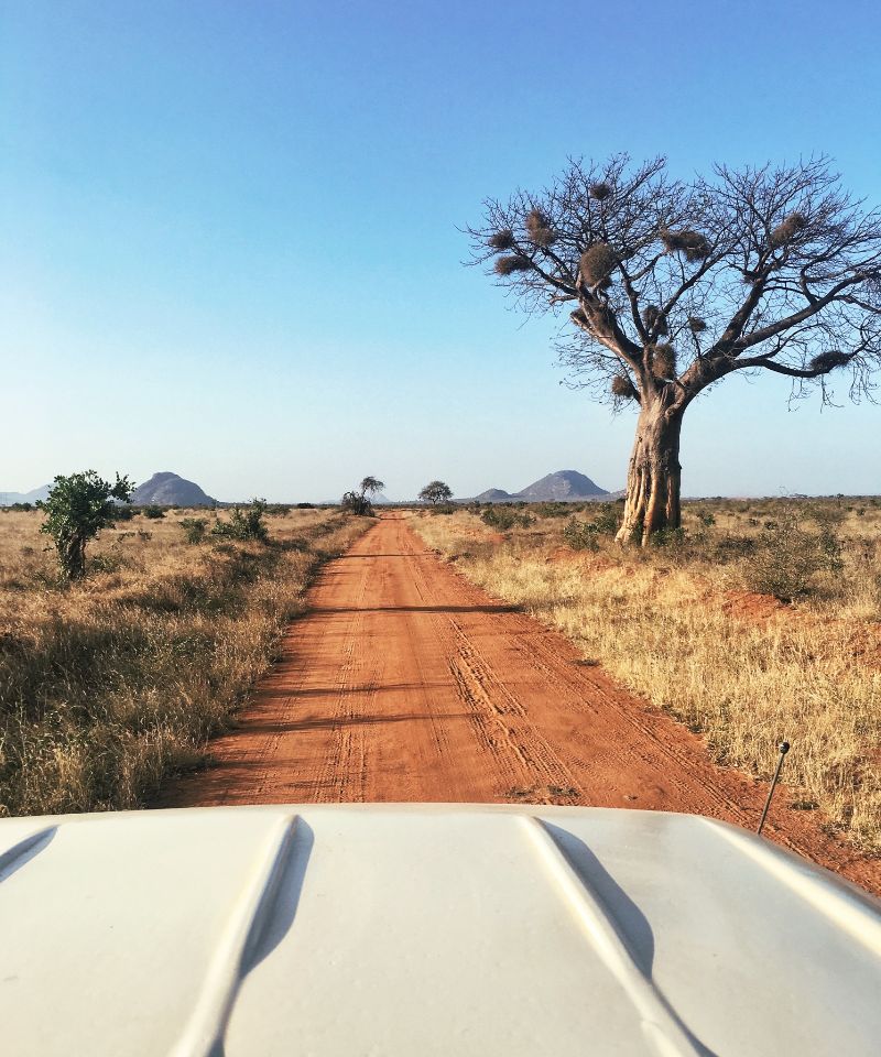 an-amboseli-safari