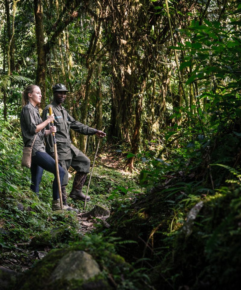 bwindi-natural-wonders