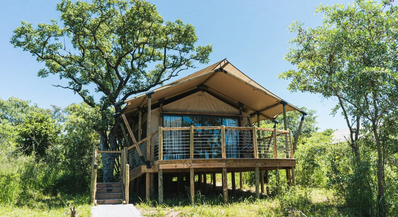 gouveia-wedding-mdluli-safari-lodge-08