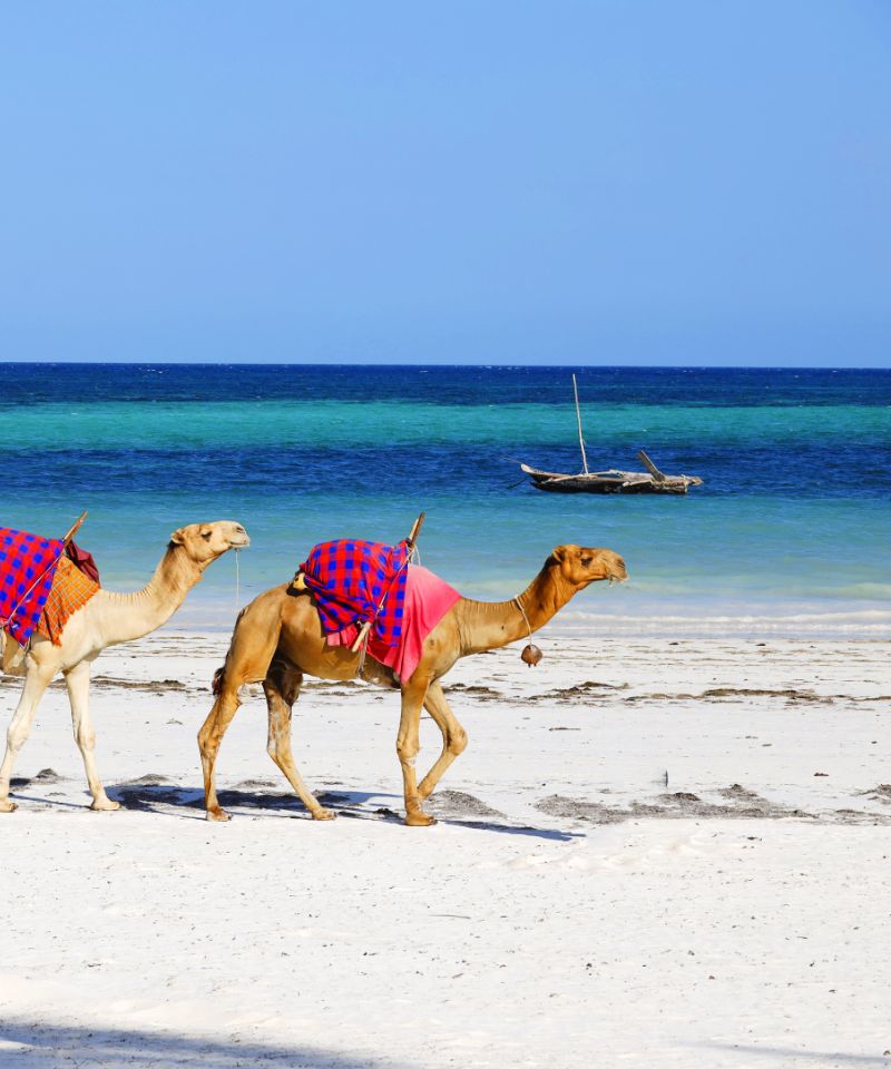 kenya-beaches-coastal-biodiversity