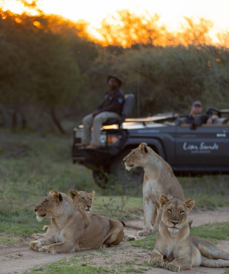 lion_sands_narina_lodge8 (1)