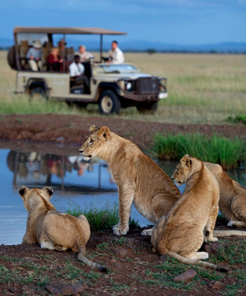 serengeti-safari-elegance