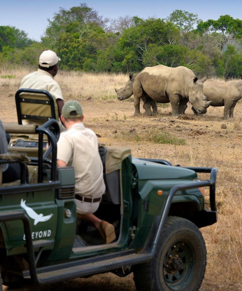 south-africa-phinda-private-game-reserve-game-drive-rhino