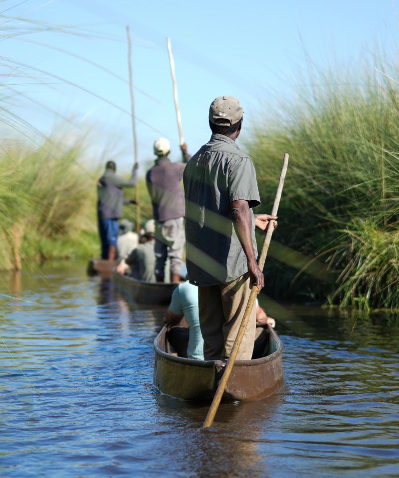 botswana-safari