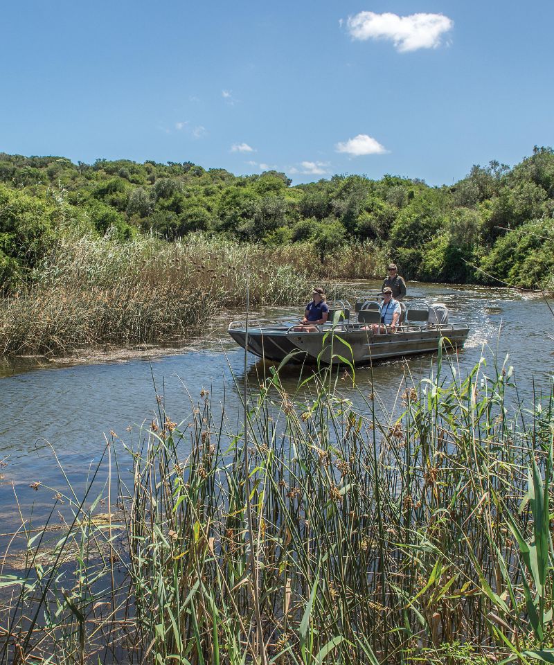 kariega-riverside-serenity