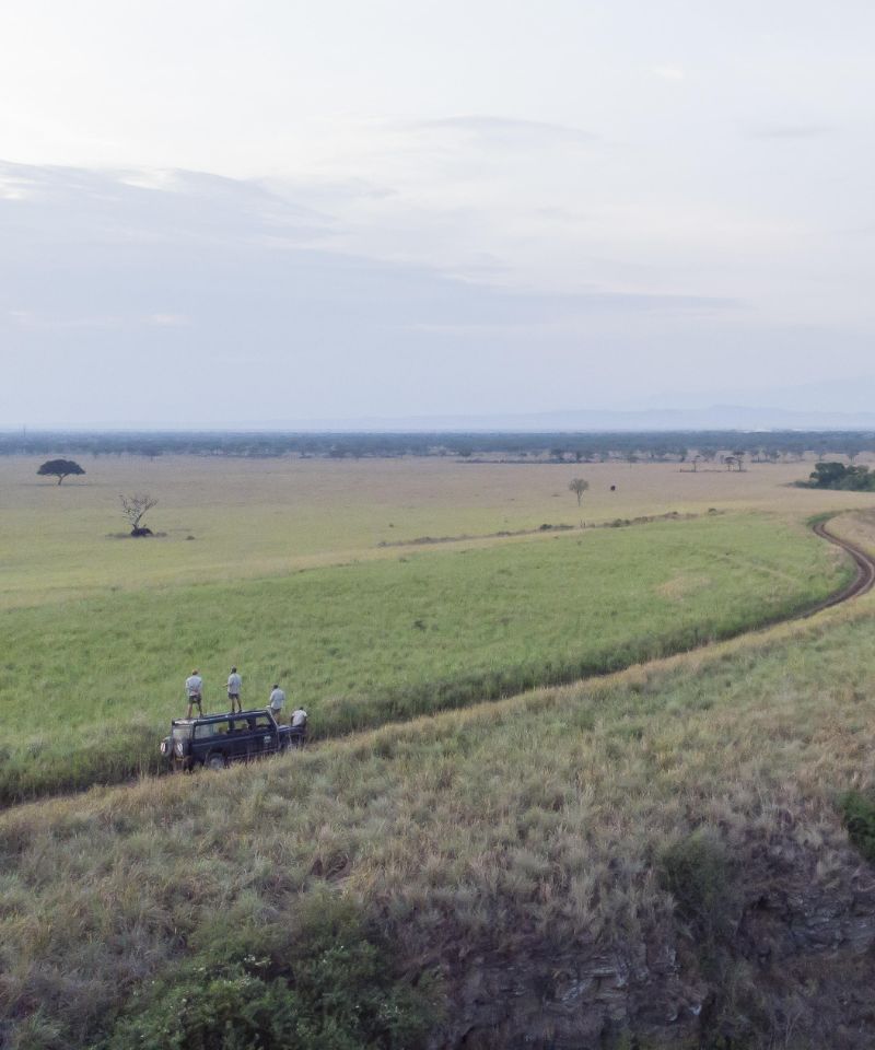 queen-elizabeth-canopies-to-grasslands